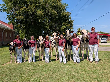 W. Alton Jones Dairy workers show Holstien and Guernsey dairy cattle at Missouri State Fair Aug. 7-17. 